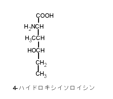 4�n�C�h���L�V�C�\���C�V��