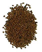 �t�F�k�O���[�N��q�摜 (9KB)