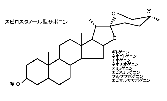 �X�s���X�^�m�[���^�T�|�j�� (2KB)